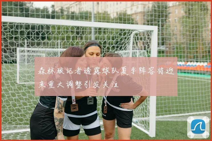 森林狼记者透露球队夏季阵容将迎来重大调整引发关注