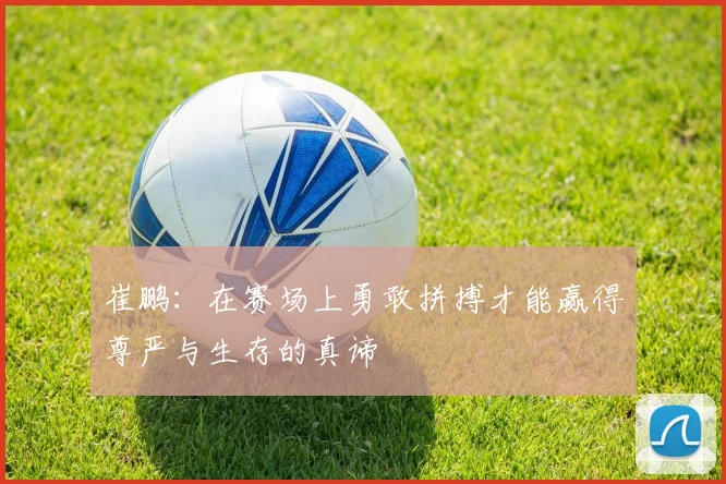 崔鹏：在赛场上勇敢拼搏才能赢得尊严与生存的真谛